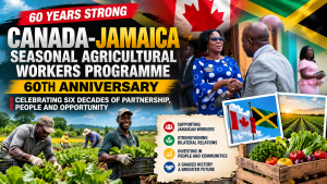 Editorial image illustrating Canada Jamaica Seasonal Agricultural Worker Program 60 years